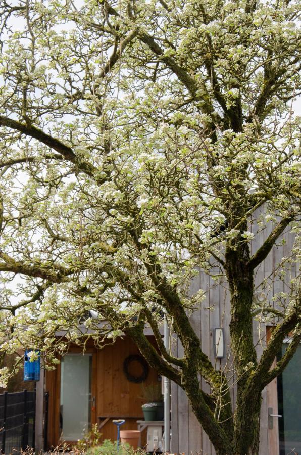 Bed And Breakfast Bedstay Op 8 Dalen Exterior foto